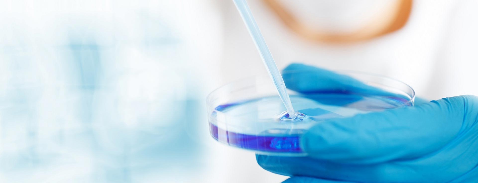 Shandong Tianxin Chemical Co. Ltd. Shandong Tianxin Chemical Co. Ltd.